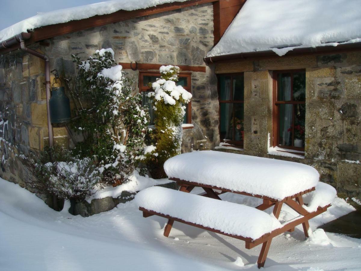 Islay Cottage, Meadowside, Kincraig, Near Kingussie Exterior foto